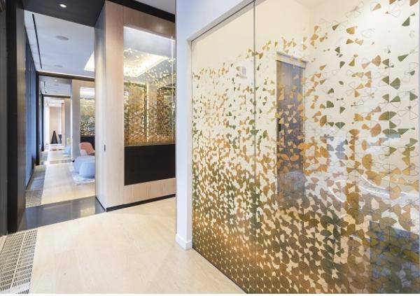 Patterned glass partitions