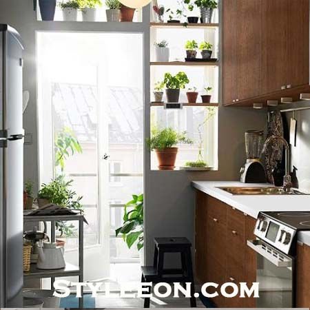 Keep Plants And Flowers In The Kitchen - Kitchen Decor - Styleeon