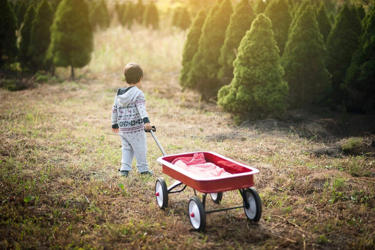 Wagon For Kids