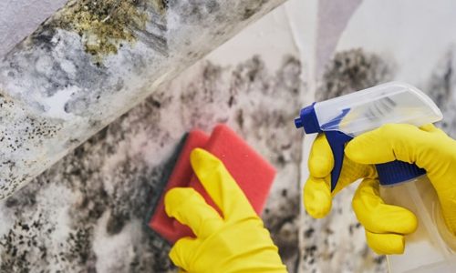 What you must understand about asbestos removal