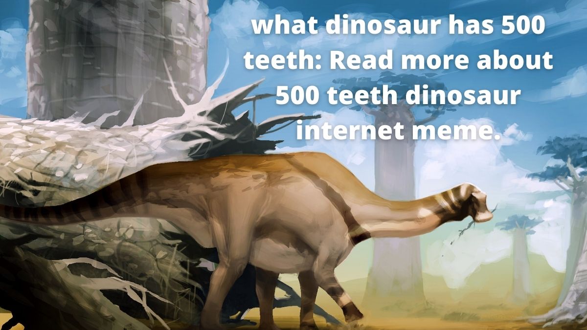 What kind of Dinosaur has 500 Teeth?