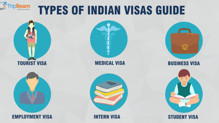 What Are the Types of Indian Visa?